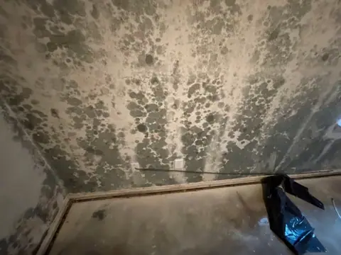 A room in the home shows extensive black mold growth covering the walls—clear signs of water damage—along with an exposed electrical outlet, bare floor, and a black plastic bag on the ground.