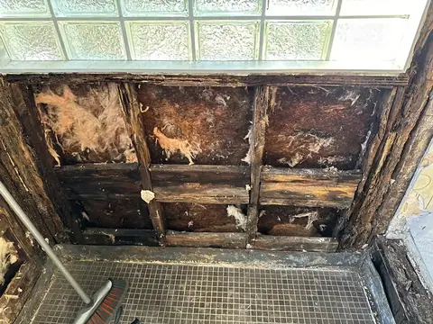Exposed wall in a water-damaged home reveals severe rot and various types of mold behind removed drywall, with a broom on the tiled floor and glass block window above.