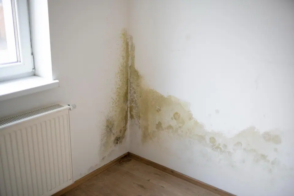 Mold and water damage visible on the lower corner walls of a room near a radiator and window, with stained and discolored patches—ideal candidates for professional water damage restoration.