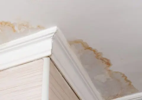 Brown water stains are visible on a white ceiling and wall corner, indicating possible water damage or a leak above—consider home mold testing to check for hidden home mold issues.