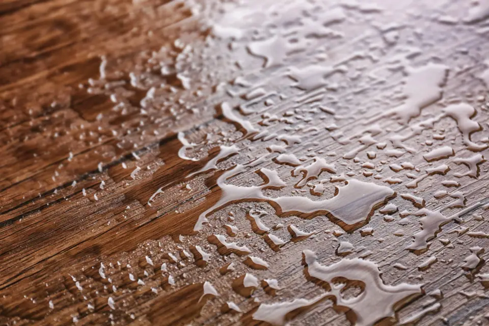 Wet Floors After a Leak: Can Carpet, Hardwood, or Laminate Be Saved?