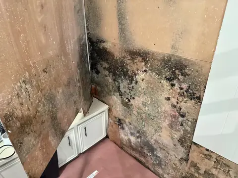 Dark mold on a wall beside a small white cabinet
