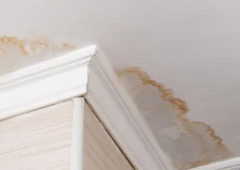 Brown water stain spreading across a ceiling next to crown molding