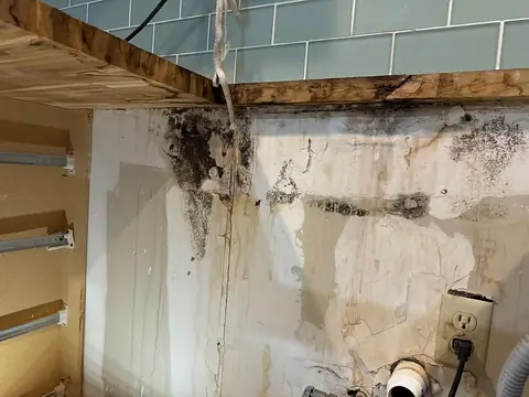 Mold growth on a kitchen wall exposed after the cabinets were removed