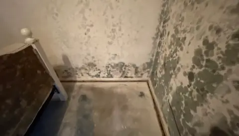 Mold spots spread across the walls of an empty room