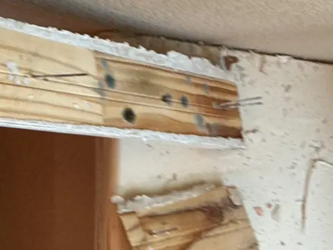 Black mold spots on a wood stud behind drywall