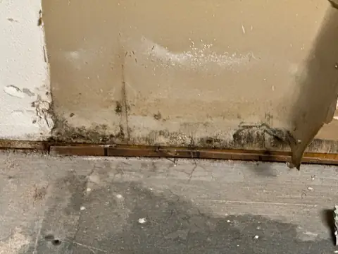 Mold staining along the bottom of a wall above a bare floor