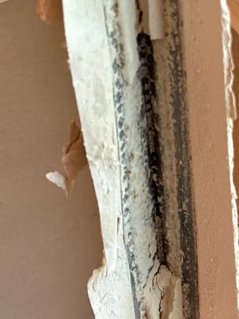 Dark mold along a window jamb behind removed drywall