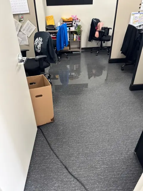 Standing water shining on office carpet beside a desk