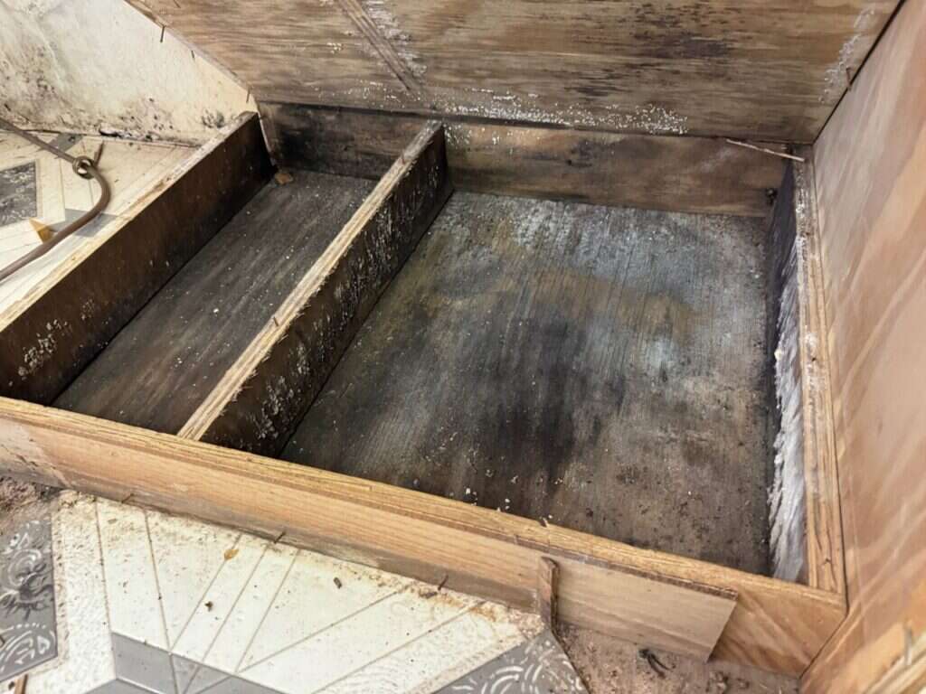 Black mold covering the hidden toe kick cavity under kitchen cabinets, caused by a dishwasher that leaked slowly for months